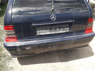 w 202 foto 5