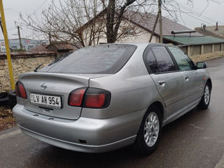 Nissan Primera foto 6