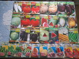 Продам семена овощей и цветов foto 1