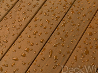 Nano wise coat usa - нано покрытие по дереву для террас, фасада и заборов-сша !!!. foto 2