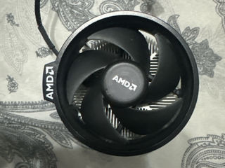 Amd Culer