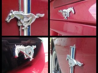 Ford Mustang foto 7