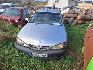 Nissan Primera