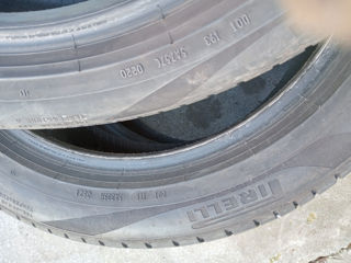 255 45 R19 Pirelli de vara foto 6