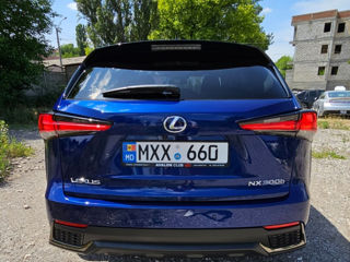 Lexus NX Series foto 5