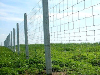 Gard din plasă innodată zincată.сетка шарнирная foto 10