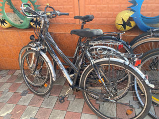 Biciclete la tara. foto 6