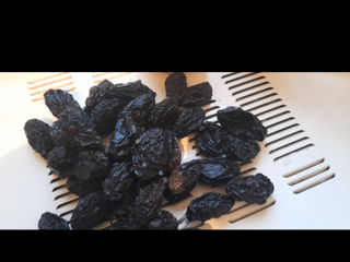 Deshidrator fructe ,legume ,carne ,peste foto 5
