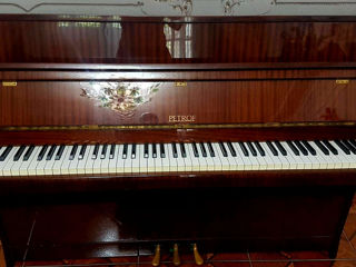 Фирменное оригинальное пианино Petrof foto 2
