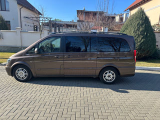 Mercedes Viano foto 3