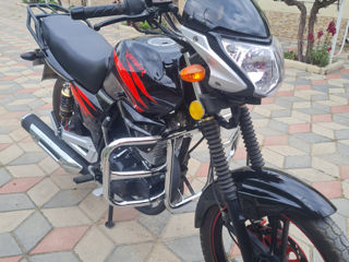 Viper 250 foto 1