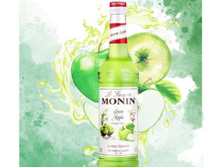 Sirop Măr Verde Monin Green Apple 1L Livrare Moldova