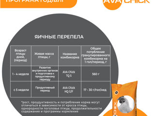 Furaj Pentru Ouă De Prepeliță Ava Chick Hq G/f . Pungă 25kg foto 3