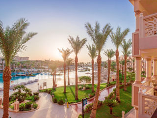 Egipt, Sharm El Sheikh Zbor pe 08 aprilie, All inclusive