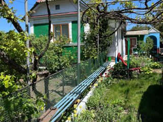 Gospodărie de vânzare – Mihălășeni, Ocnița – 24.000 € (negociabil) foto 3