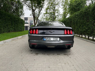 Ford Mustang foto 7