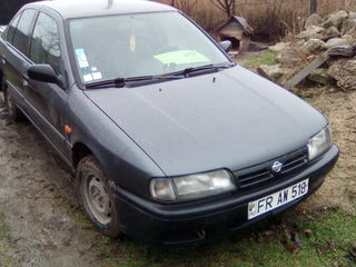 Nissan Primera foto 2