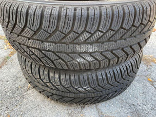 205 60 R16  Michelin foto 6