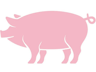 Porc 150-180 kg