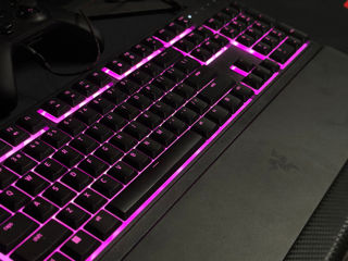 Tastatura si mouse Razer Ornata v3 foto 3