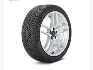 Шины Michelin Alpin Pilot 5 225/60 R17 foto 7