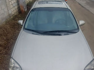 Nissan Primera foto 5