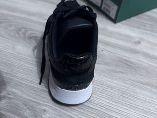 Adidas timberland lacoste Boss foto 5