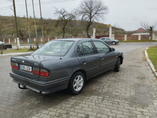 Nissan Primera