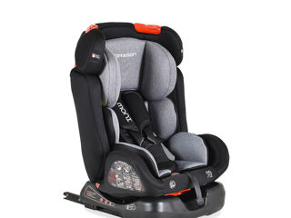 isofix 0-36 kg. Moni Dragon  bebelush.com foto 3