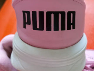 Puma mar 37 foto 4