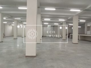 Сhirie, Ialoveni, spaţiu industrial, 1200 m.p. 3600€ foto 5