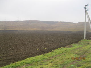 Продам 500 гектар сельхоз земли на юге Молдавии foto 1