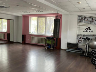 Аренда зала для танцев, йоги, бокса, фитнеса, персональных занятий! foto 6