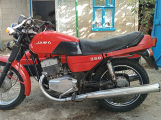 Jawa foto 3