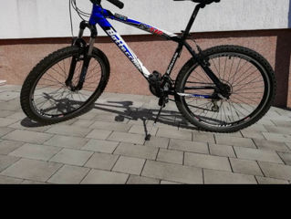 Bottecchia FX510