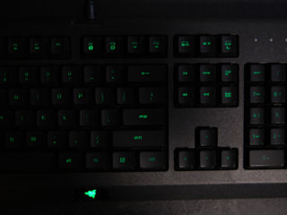 Клавиатура Razer Cynosa Lite 100% foto 10