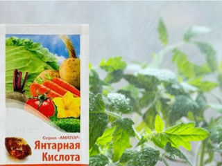 Стимулятор роста растений янтарная кислота stimularea creșterei plante succinic acid