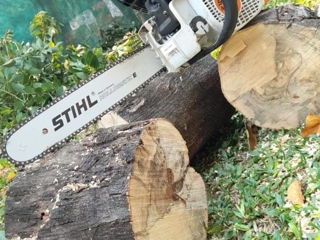 Vînd stihl 250 foto 2