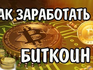 10000 биткоинов заработать bitcoin cash trading halt
