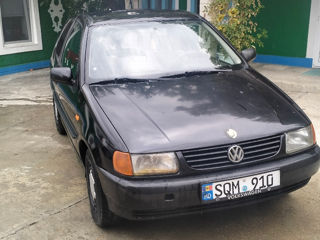 Volkswagen Polo фото 1