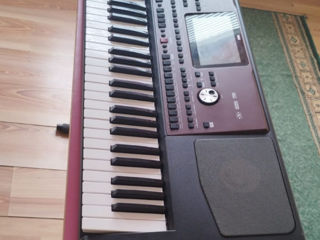 Korg Pa 700 foto 3