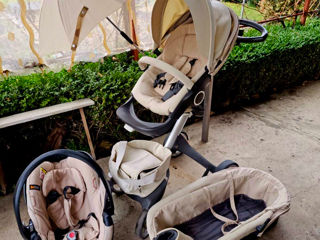 Stokke