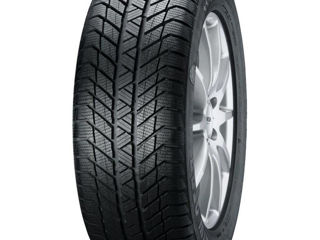 Anvelope iarna 215/60 R17 96H Platin Winter