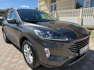 Ford Kuga, 2021 г.