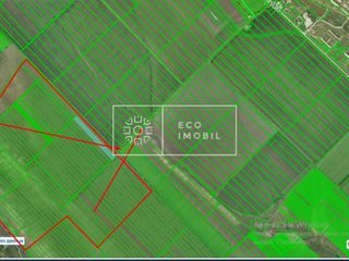 Vânzare, teren agricol, în raionul Căușeni, satul Grigorievca, 120 ha, 579000 euro