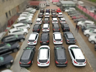 Ford Focus foto 3