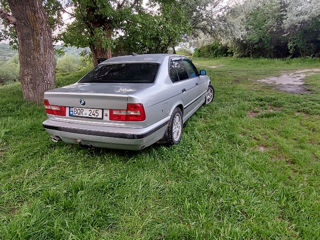 BMW 5 Series foto 3