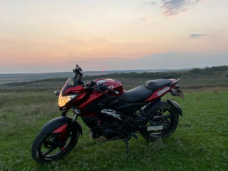 Viper JPX 250 foto 2