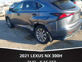 Lexus NX Series foto 5