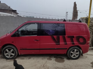 Mercedes Viano foto 2